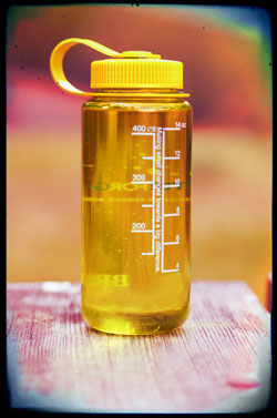 Classic Nalgene 1 liter lexan water bottle.